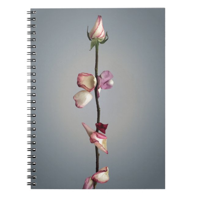 Until the last petal... notebook (Front)