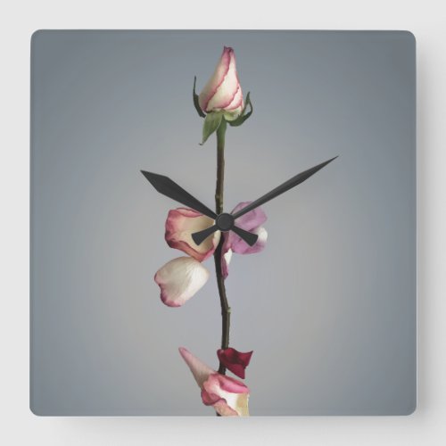 Until the last petal square wall clock