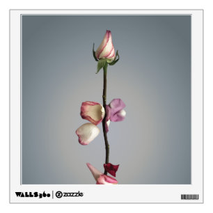 Until the last petal... wall decal