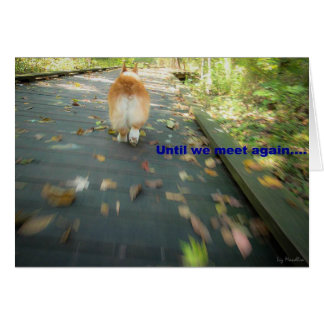 again condolence we meet until Sympathy Cards Photo Pet Cards & Greeting  Zazzle