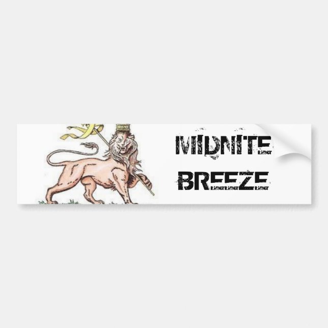 Untitled Bumper Sticker (Front)