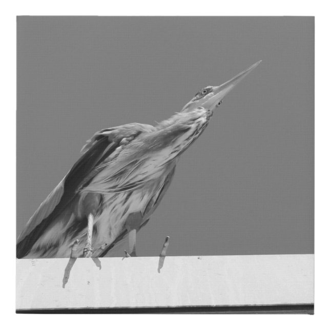 Untitled Design Faux Canvas Print (Front)