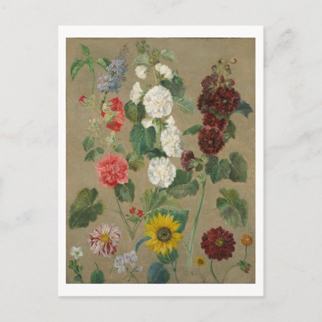 Untitled (Flowers) (oil on board) Postcard (Front)