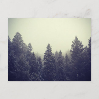 Untitled III Postcard