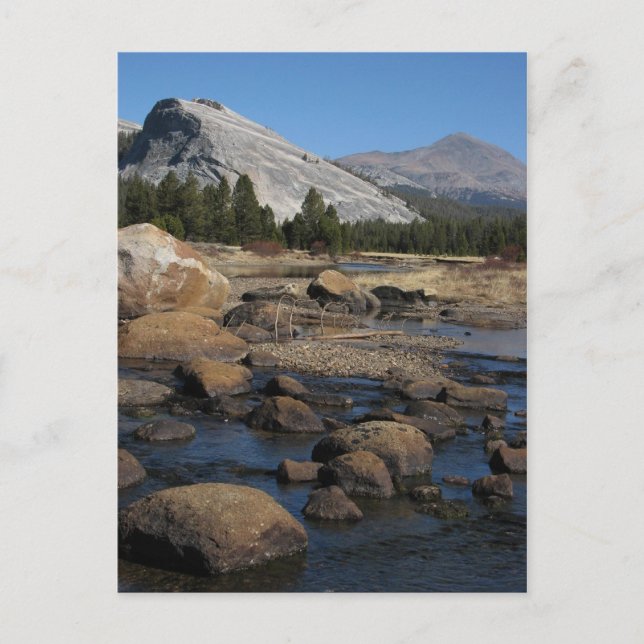 Untitled Postcard (Front)