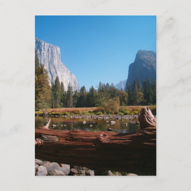 Untitled Postcard (Front)