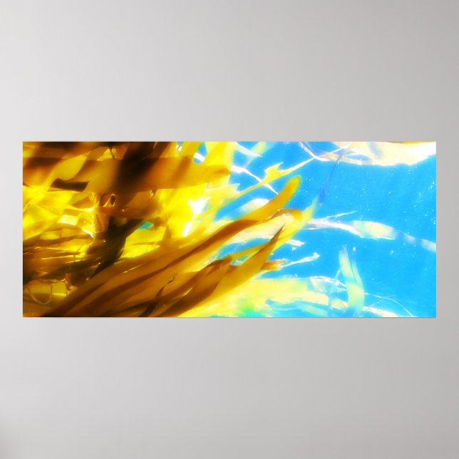 Untitled Poster (Front)