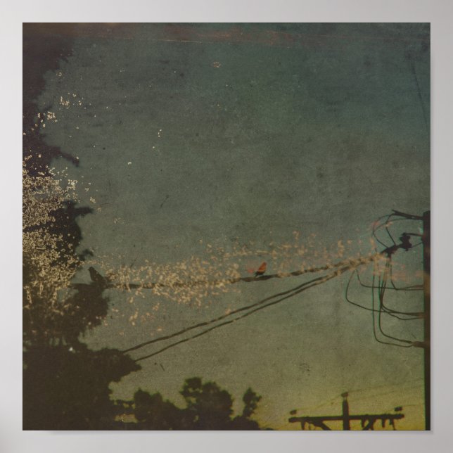 Untitled Poster (Front)