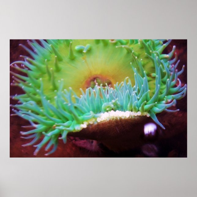 Untitled Poster (Front)