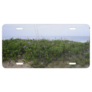 Untouched Beach License Plate