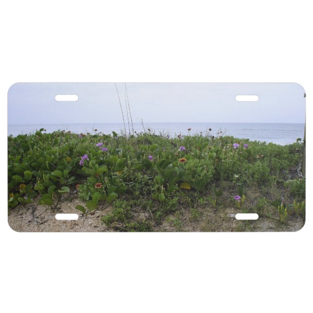 Untouched Beach License Plate (Front)