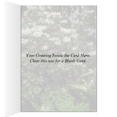 Untouched Wilderness Cards (Inside (Right))