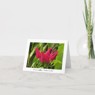 Unusual Brazilian Candles Greeting Thank you Note Card