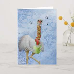 Unusual Holiday Animals: Ostrich Greeting Card A5