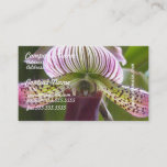 Unusual Orchid Business Cards