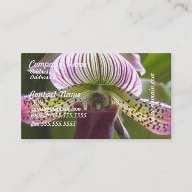 Unusual Orchid Business Cards (Front)
