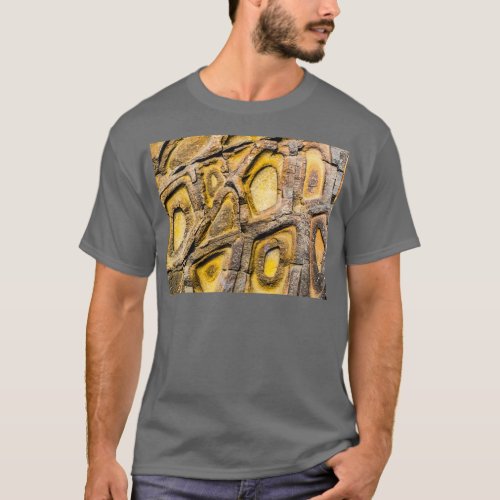 Unusual Rock Erosion T_Shirt