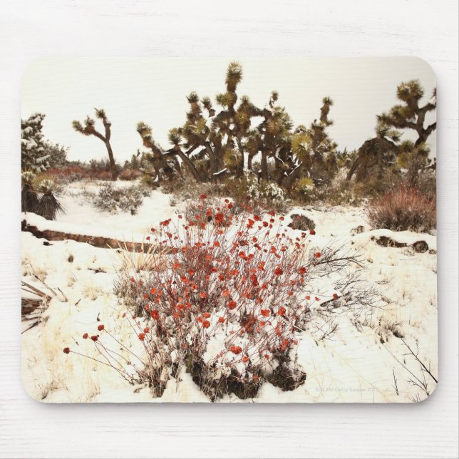 Unusual snow storm on the Joshua trees( Yucca Mouse Pad (Front)