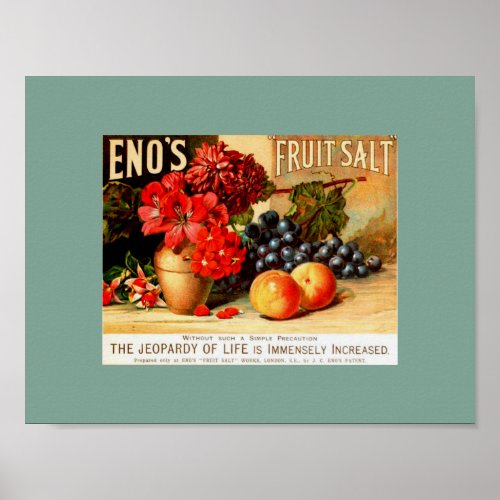 Unusual VINTAGE FRUIT  FLORAL ENOS FRUIT SALT Poster