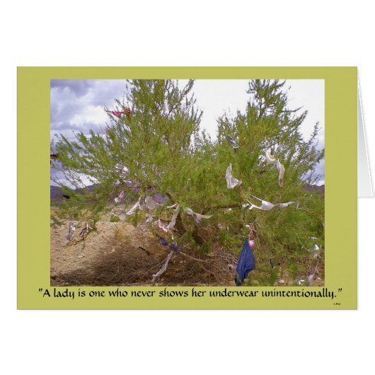 Unwanted Underwear (Front Horizontal)