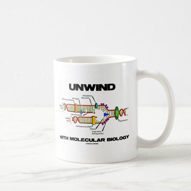 Unwind With Molecular Biology (DNA Replication) Coffee Mug (Right)