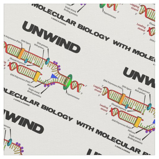 Unwind With Molecular Biology DNA Replication Fabric