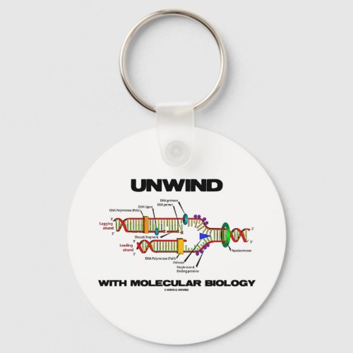 Unwind With Molecular Biology DNA Replication Keychain