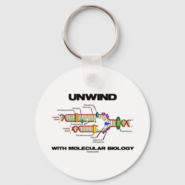 Unwind With Molecular Biology (DNA Replication) Keychain (Front)