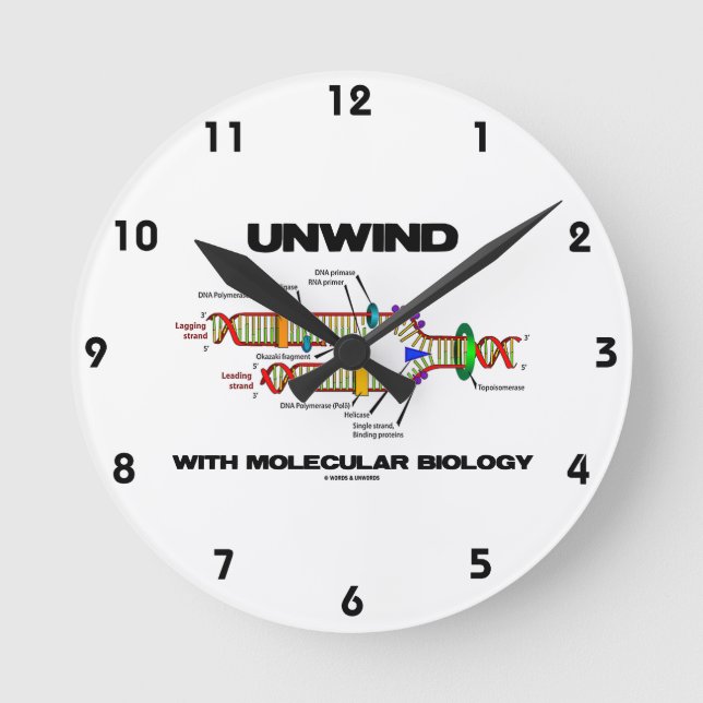 Unwind With Molecular Biology (DNA Replication) Round Clock (Front)