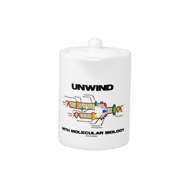 Unwind With Molecular Biology (DNA Replication) Teapot (Front)