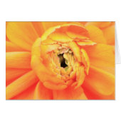 Unwinding (Front Horizontal)