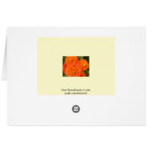 Unwinding Cards (Back Horizontal)