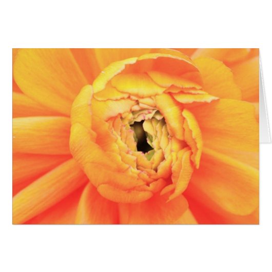 Unwinding Cards (Front Horizontal)