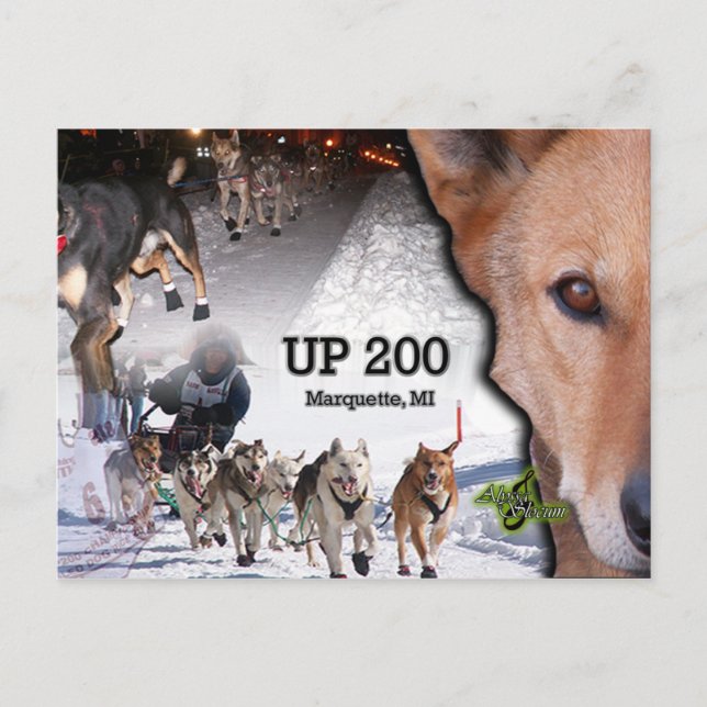 UP 200 Collage Postcard (Front)