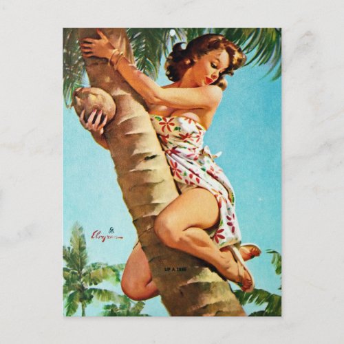 Up a Tree _ Vintage Pin up  girl Postcard
