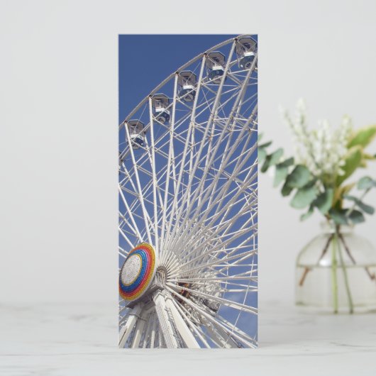 Up and Away (Standing Front)