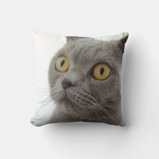 Up-Close British Shorthair Cat Throw Cushion (Front)