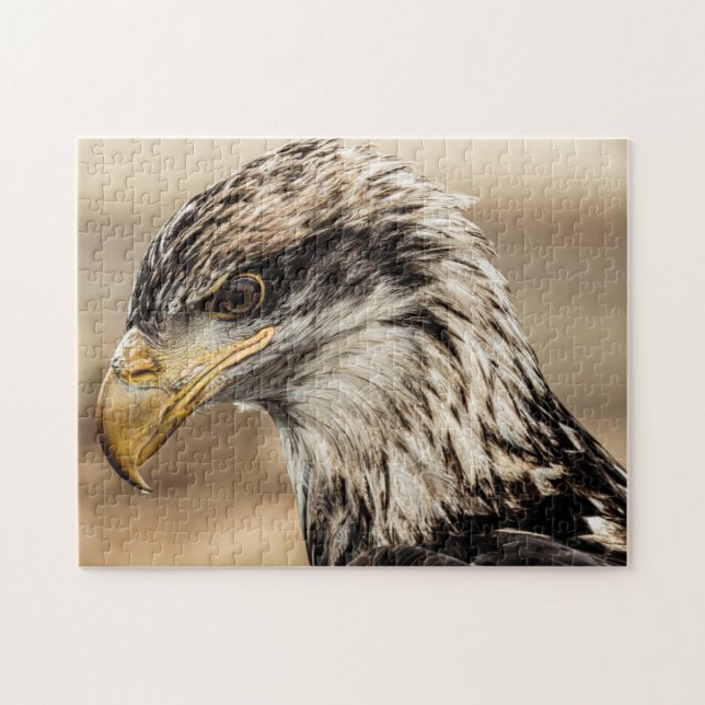 Up Close Eagle Photo Jigsaw Puzzle (Horizontal)