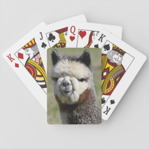 Up Close Grey Alpaca Playing Cards