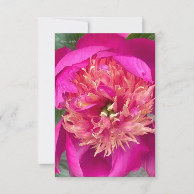 Up-close Hot Pink Peony Note Card (Front)