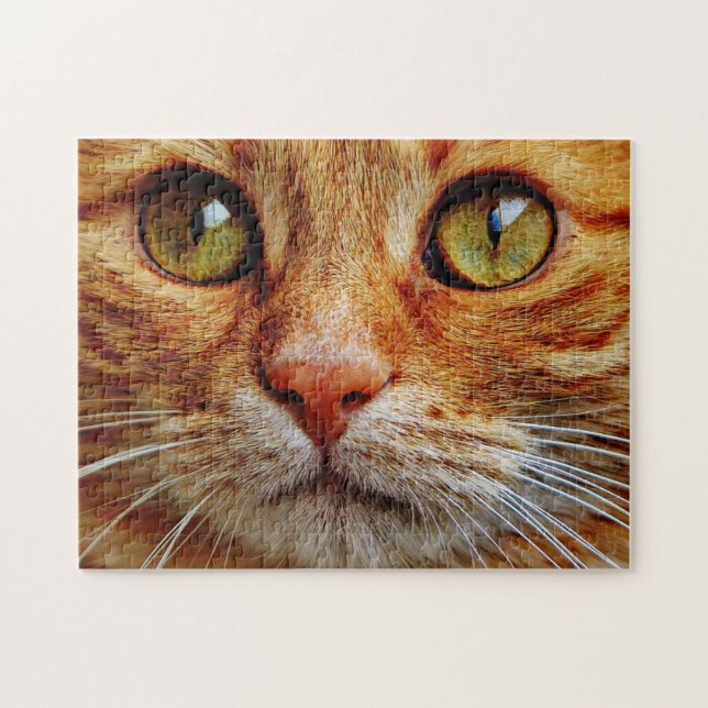 Up Close of Orange Tabby Cat Eyes Jigsaw Puzzle (Horizontal)