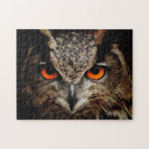 Up Close Owl with Orange Eyes Jigsaw Puzzle