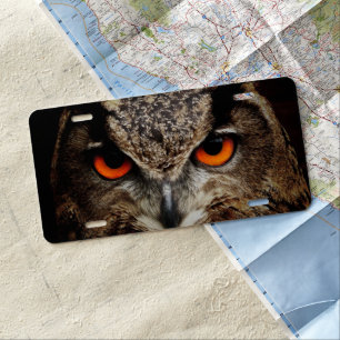 Up Close Owl with Orange Eyes License Plate