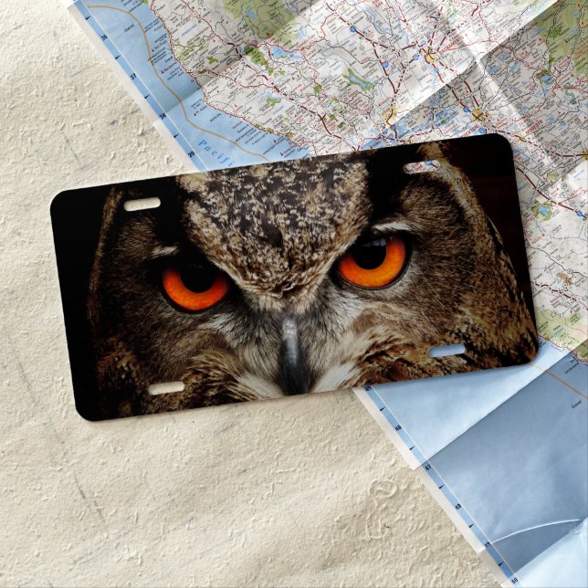 Up Close Owl with Orange Eyes License Plate (In Situ)