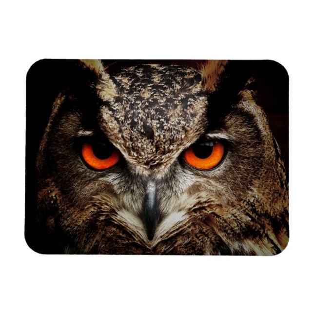 Up Close Owl with Orange Eyes Magnet (Horizontal)