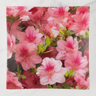 Up Close Trinket Tray