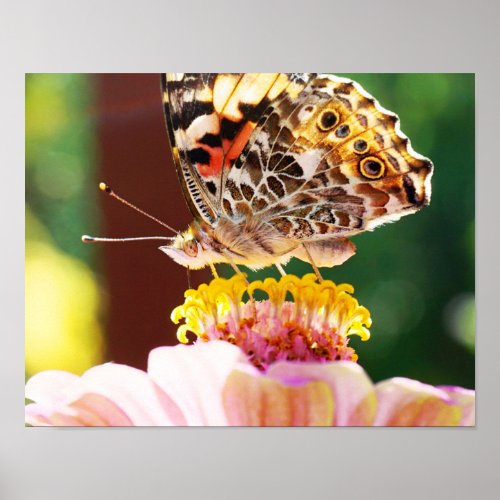 Up close with This Beautiful Butterfly Nature Art Poster