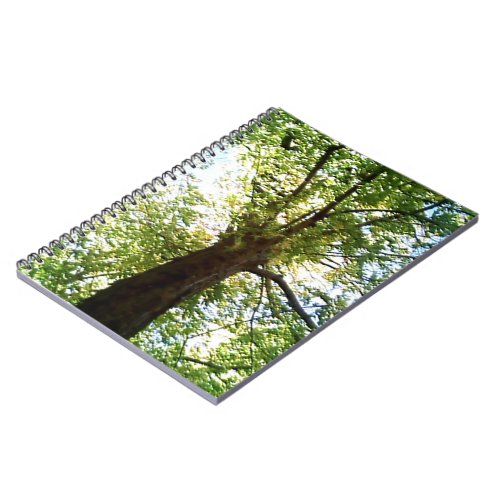 Up from the Ground Tree Notebook