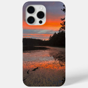 Up in the Northwoods Scenic Phone Case
