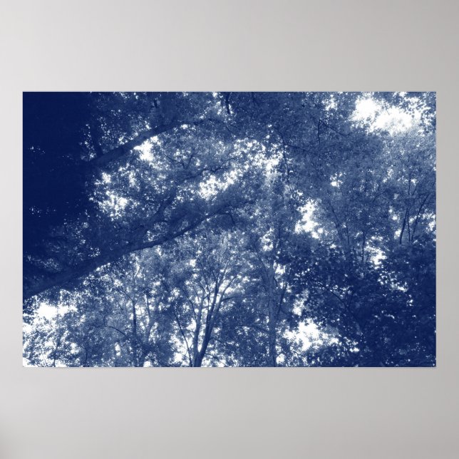 Up in the Trees - Cyanotype Effect Poster (Front)